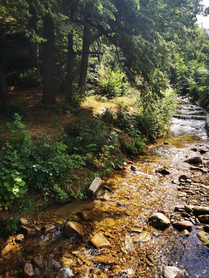Chillout-Aparts Swieradow-Zdroj Bagian luar foto