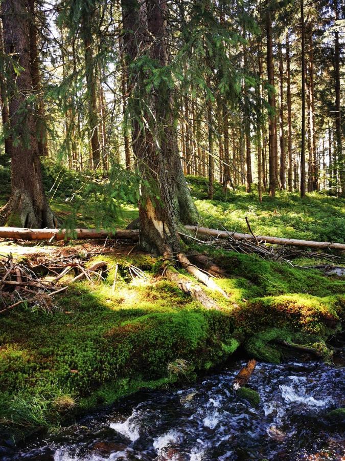 Chillout-Aparts Swieradow-Zdroj Bagian luar foto